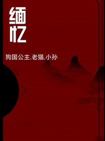 缅忆（改编2版）