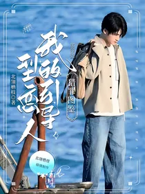 猎罪图鉴：我的引导型恋人