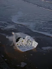缘因果