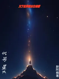 代号星火