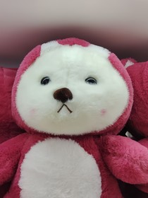 综影视女配也耀眼