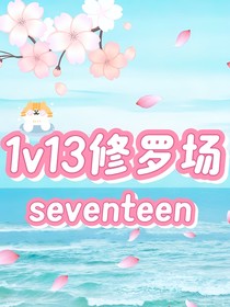 seventeen：1v13修罗场