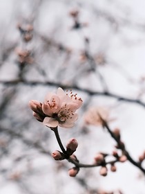 我的幻想日记——完美的结局
