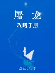 屠龙攻略手册