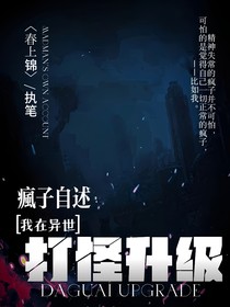 疯子自述：我在异世打怪神级