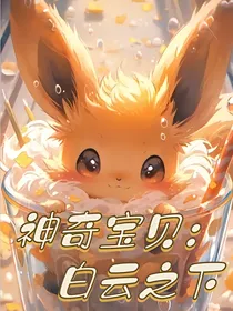 神奇宝贝：白云之下