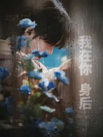 TF三代：我在你身后
