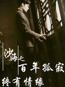 沙海之百年孤寂钟有情缘