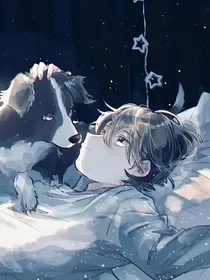 斗龙：星辰未了