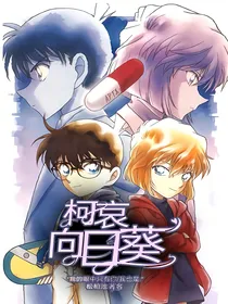 柯哀：向日葵