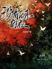 没有后来的夜