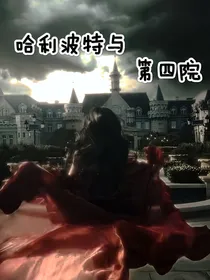 哈利波特与第四院