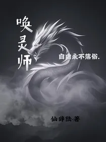 唤灵师，天道
