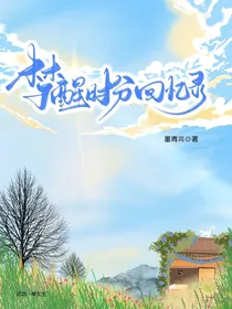 梦醒时分，回忆录