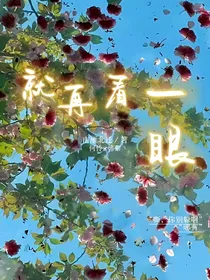 就再看一眼（南雁北迁）