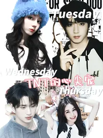 TNT的心尖宠