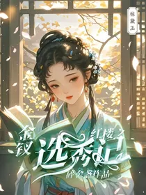红楼之金钗选秀记
