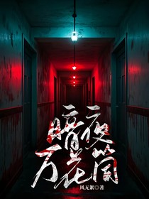 暗夜万花筒