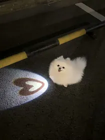 原神：穿越后我竟拯救了提瓦特大陆