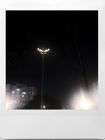 她是他的秘密