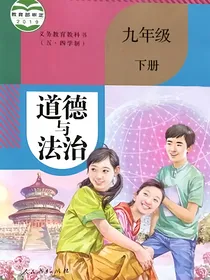 九年级政治下册