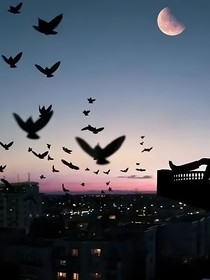 暗流潮涌