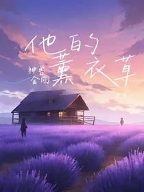 神兽金刚：他的薰衣草