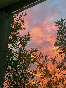 爱恋盛夏