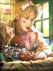 张真源：破碎浪漫