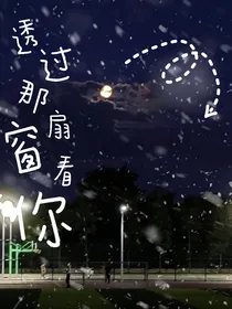 透过那扇窗看你