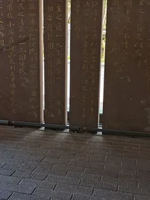 权少专宠掌中情人