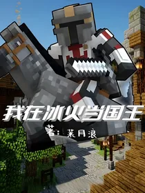 我的世界：我在冰火当国王