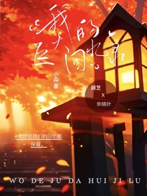 我巨大的回忆录