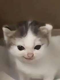爱装逼就去当裤衩呀