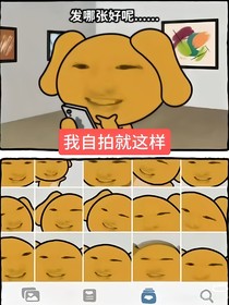 写太烂弃了