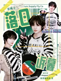 崔杋圭：落日诉暮