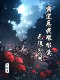 霸道总裁狠狠爱之无限空间