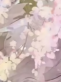 降临：亲爱的公主殿下