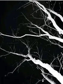 月染守