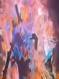 斗龙战士—请赐教