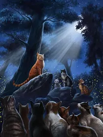 猫武士杂谈