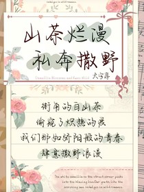 斗龙战士之流芳