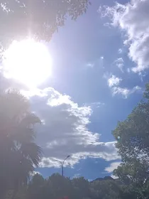 向阳浅梦