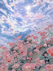凹凸世界乙女花界