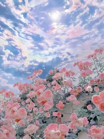 凹凸世界乙女花界