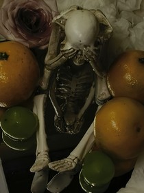 奇葩爱情故事