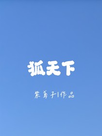 狐天下