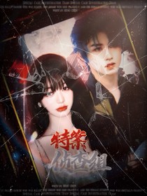 TOP：特案侦查组