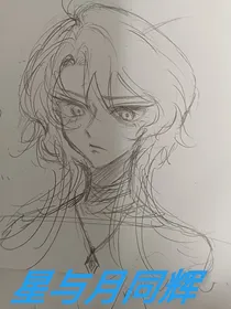 星与月同辉