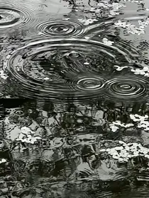 岳七沈九